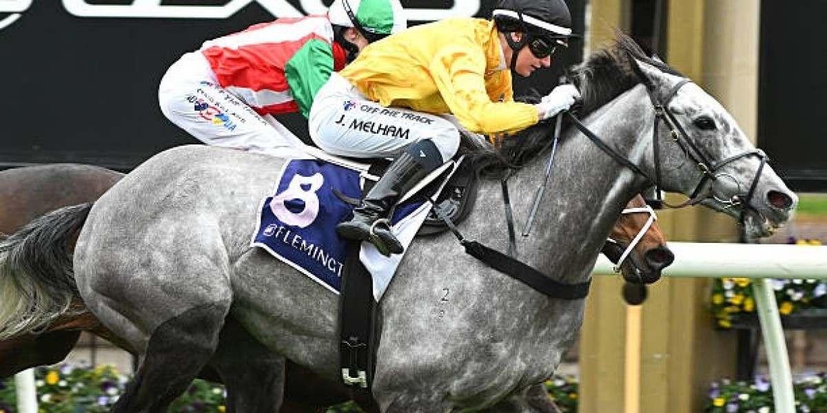 Mastering Gallops Betting Tips: A Friendly Guide to Smarter Racing Bets