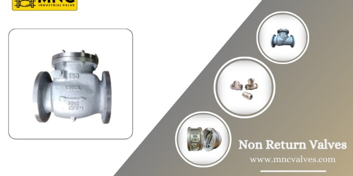 Non Return Valve Manufacturers and Exporter in India | MNC VALVES