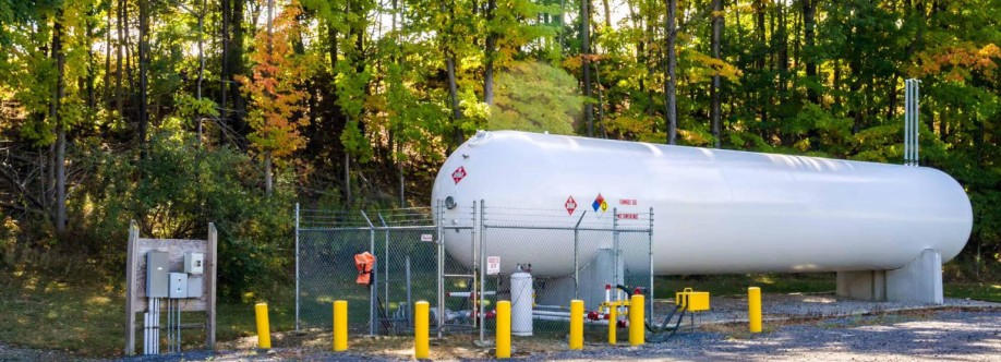 THỊ VẢI PETROL Cover Image