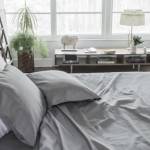 StevePLentz StevePLentz Profile Picture