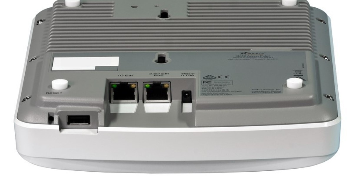 Unlock Ultimate Wi-Fi Performance with the Ruckus R650 Datasheet