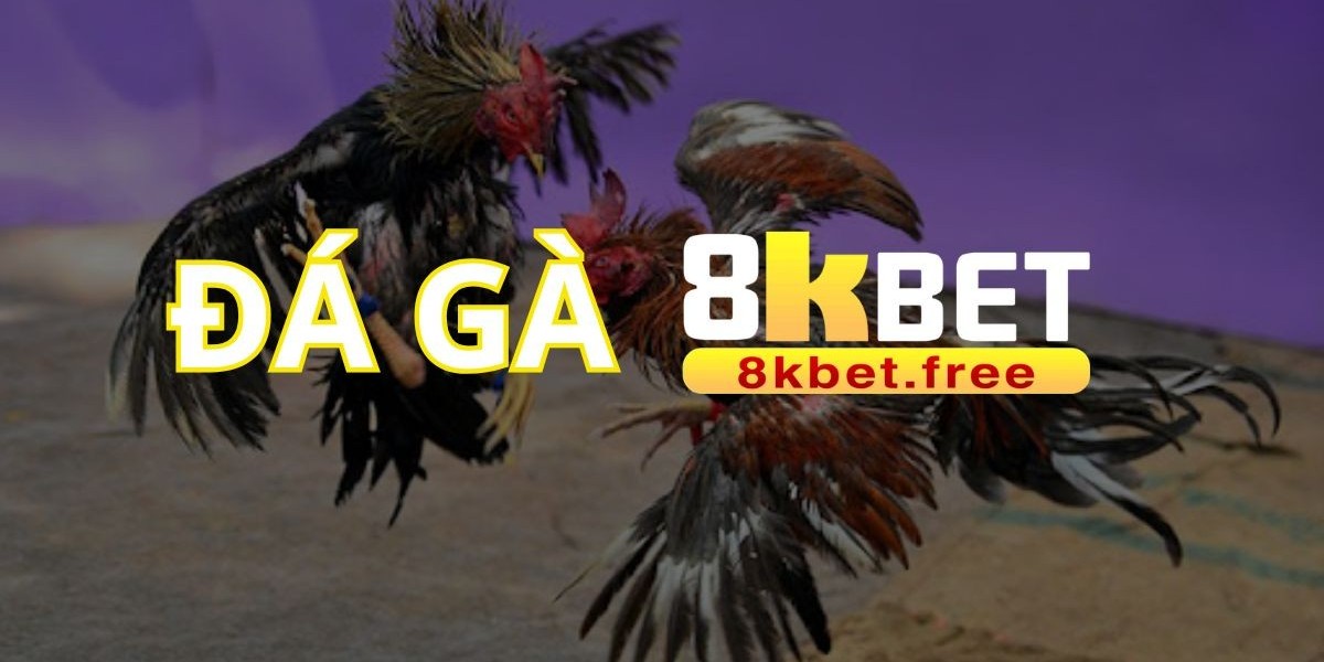 Đá Gà 8KBET – Sân Chơi Đá Gà Trực Tuyến Được Yêu Thích Nhất Hiện Nay